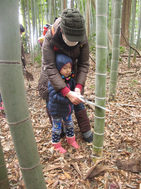 竹林３