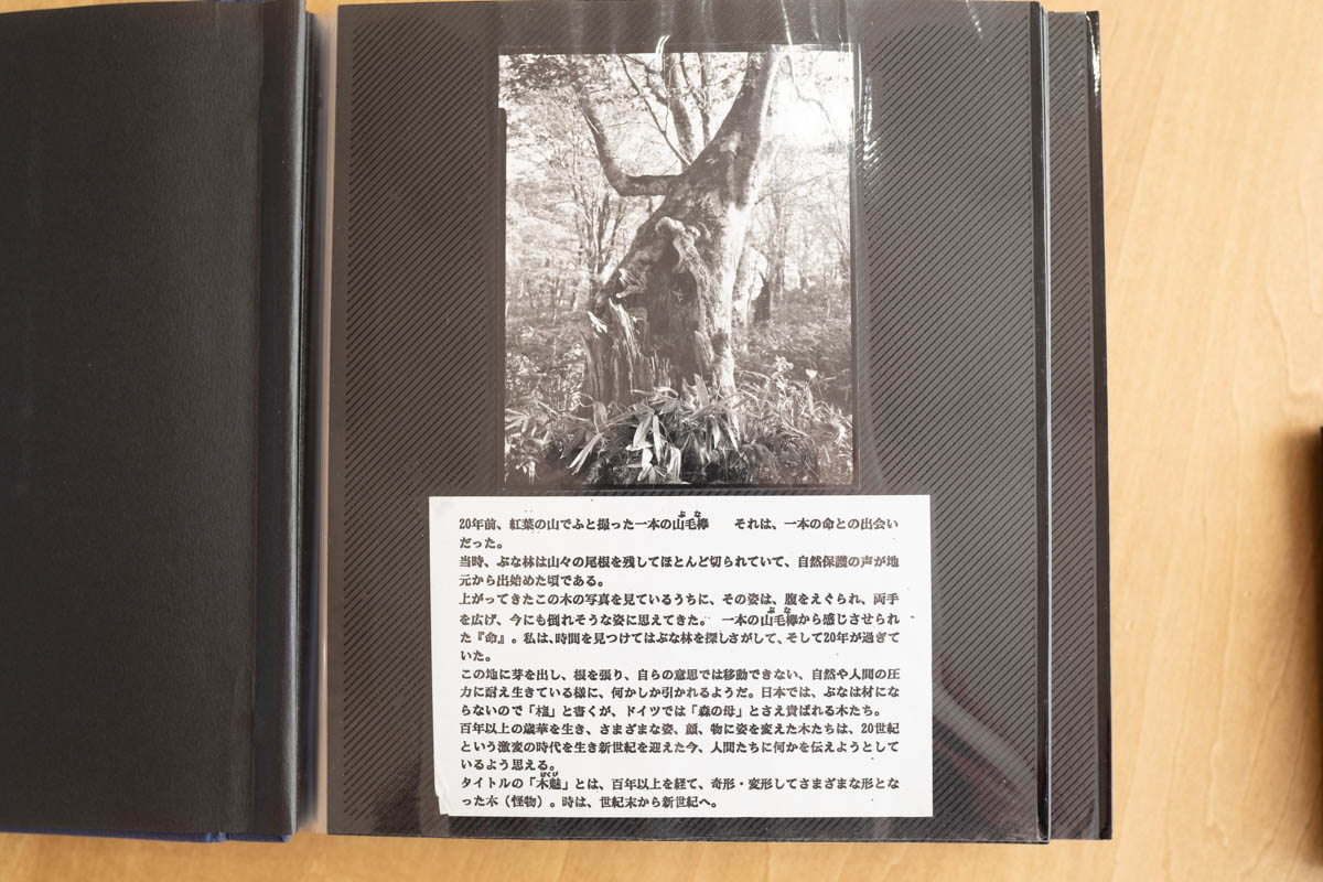 DSC04135